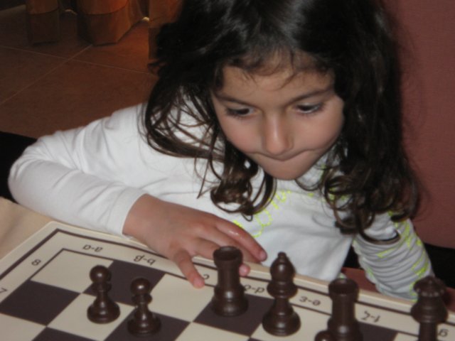 player14.jpg